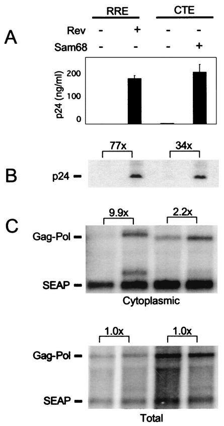 FIG. 6.