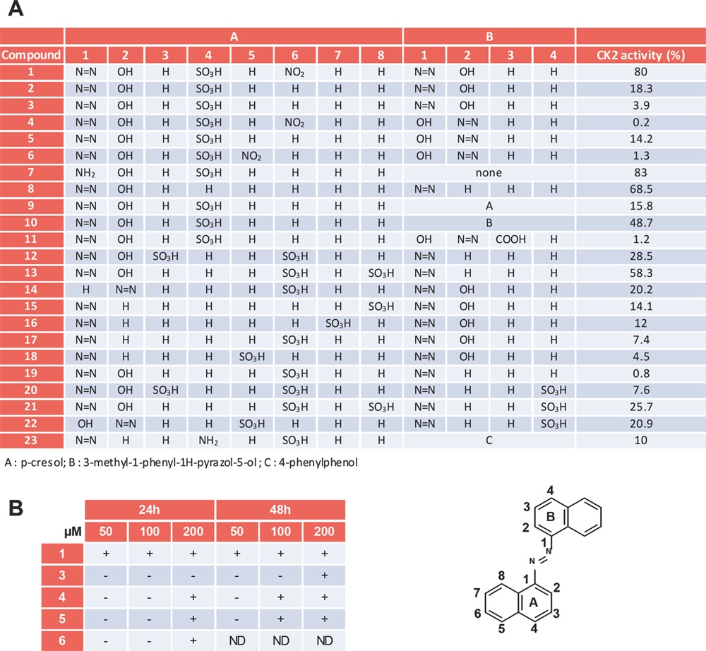 graphic file with name oncotarget-02-997-g004.jpg