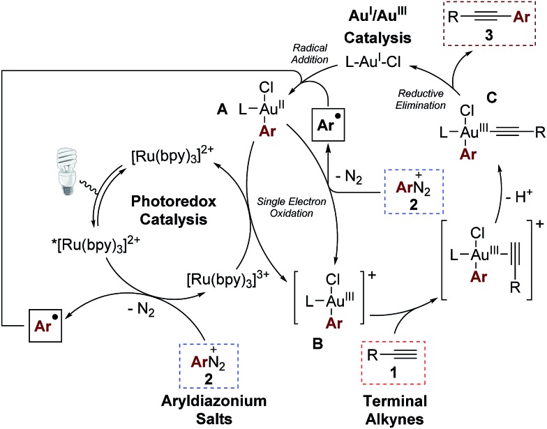 Scheme 5