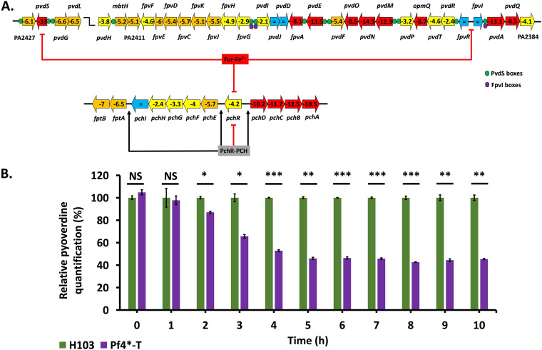 FIG 6