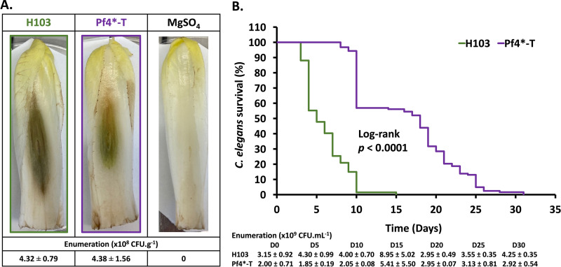 FIG 2