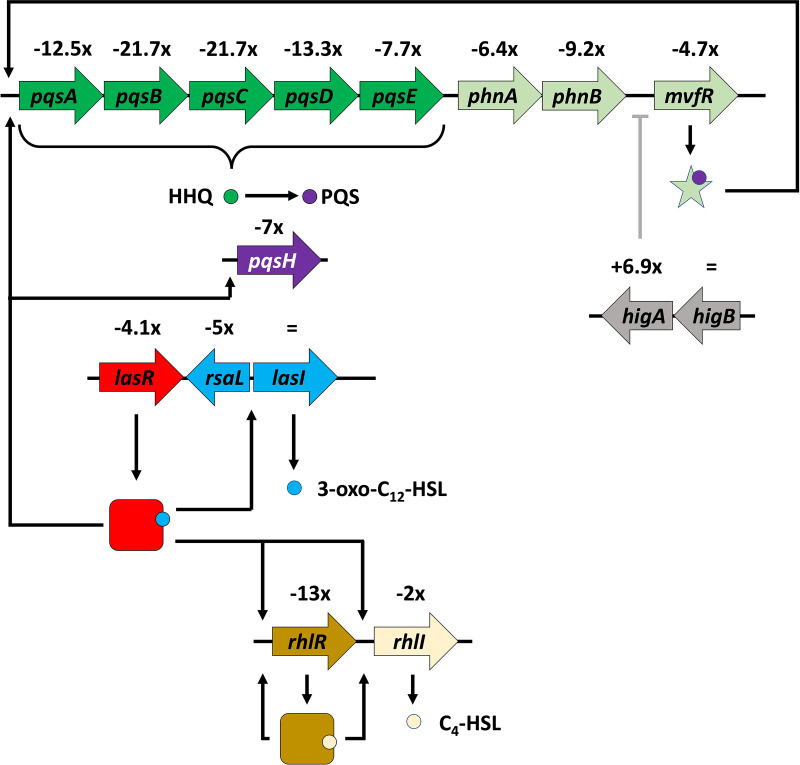 FIG 4