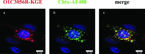 FIG. 8.