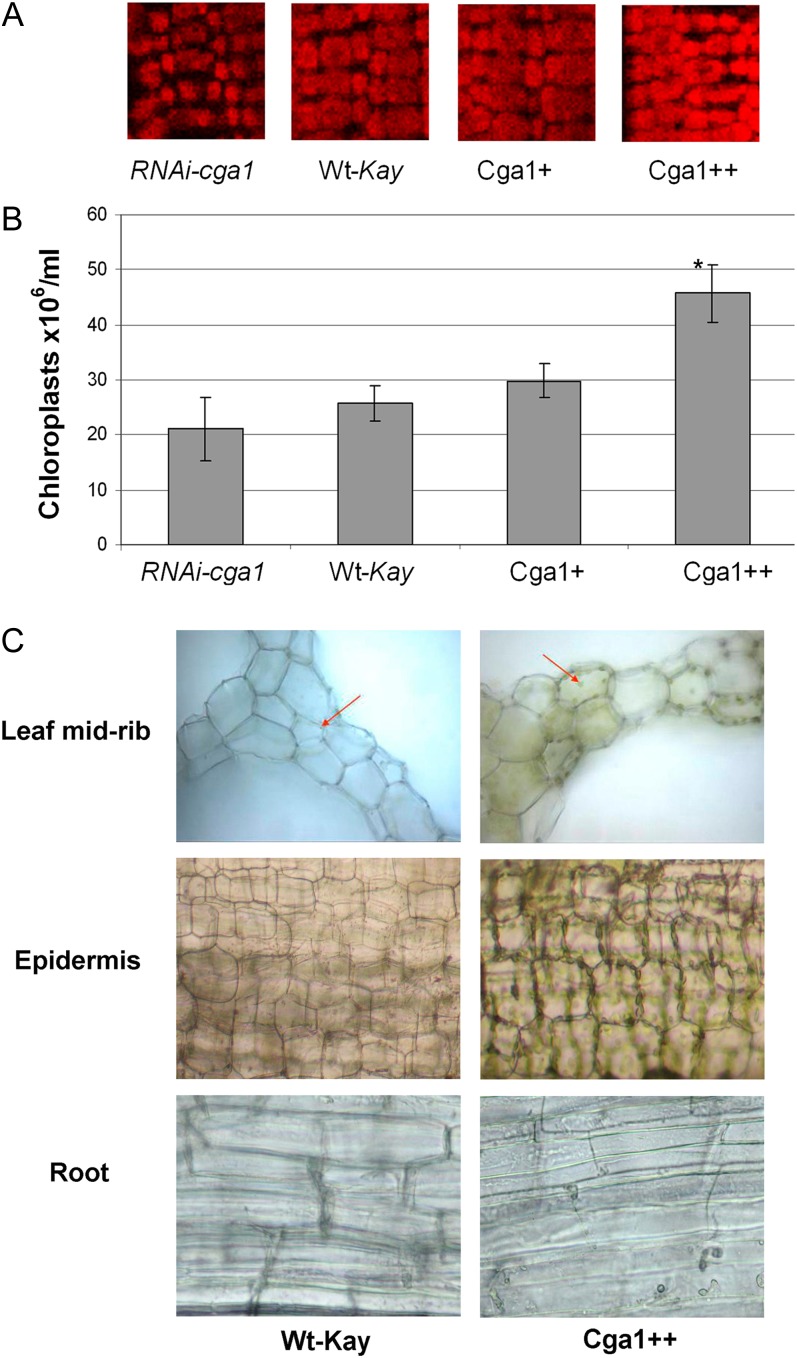 Figure 4.