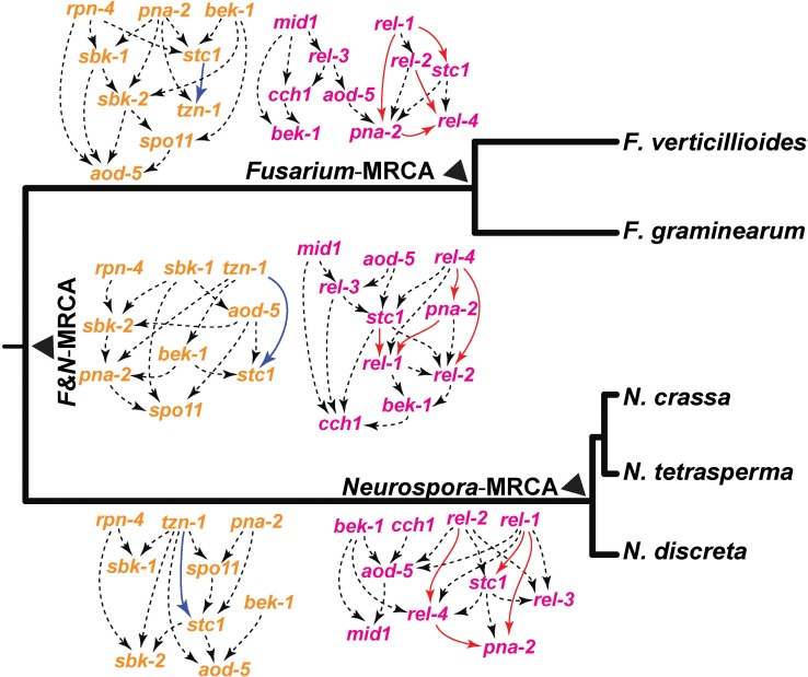 Fig 6