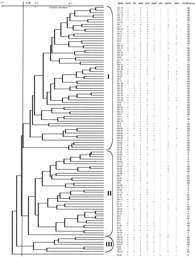 FIG.1.