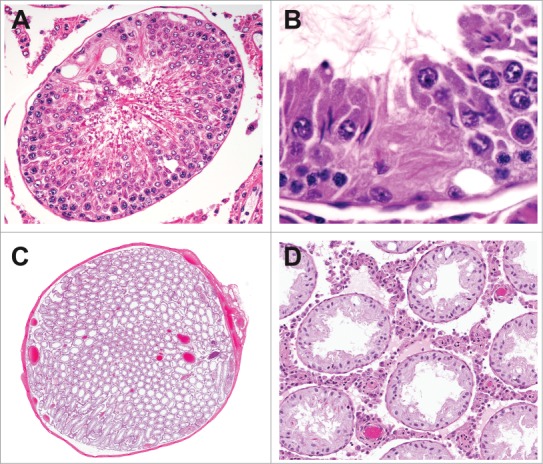 Figure 19.