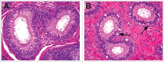 Figure 30.