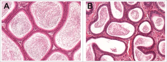 Figure 28.