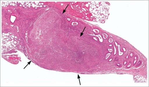 Figure 36.