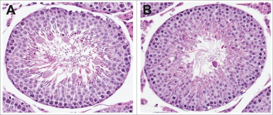 Figure 9.