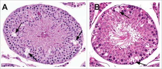 Figure 14.