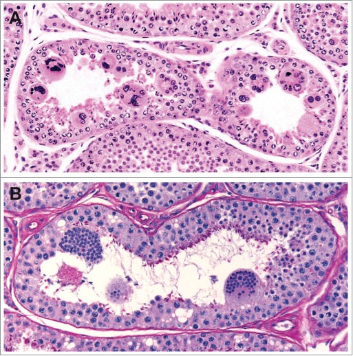 Figure 21.