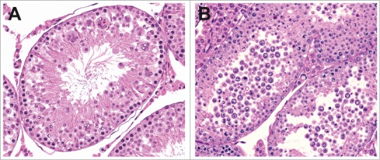 Figure 17.