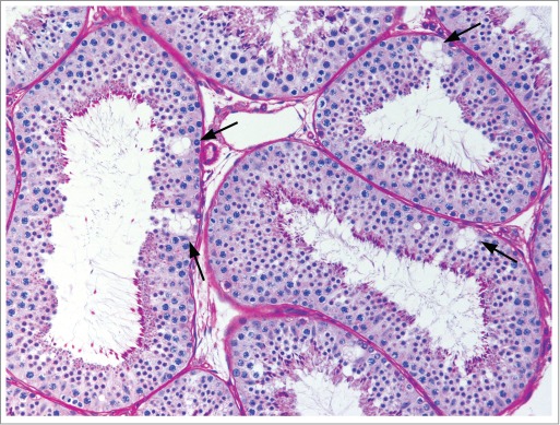 Figure 15.