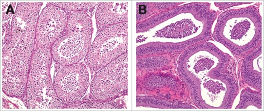 Figure 24.