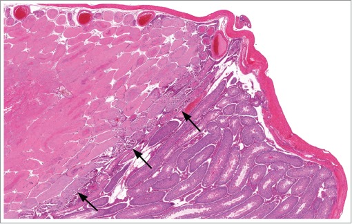 Figure 42.