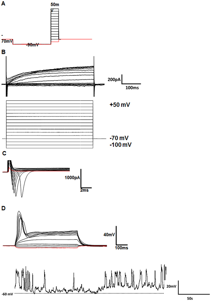 Figure 5