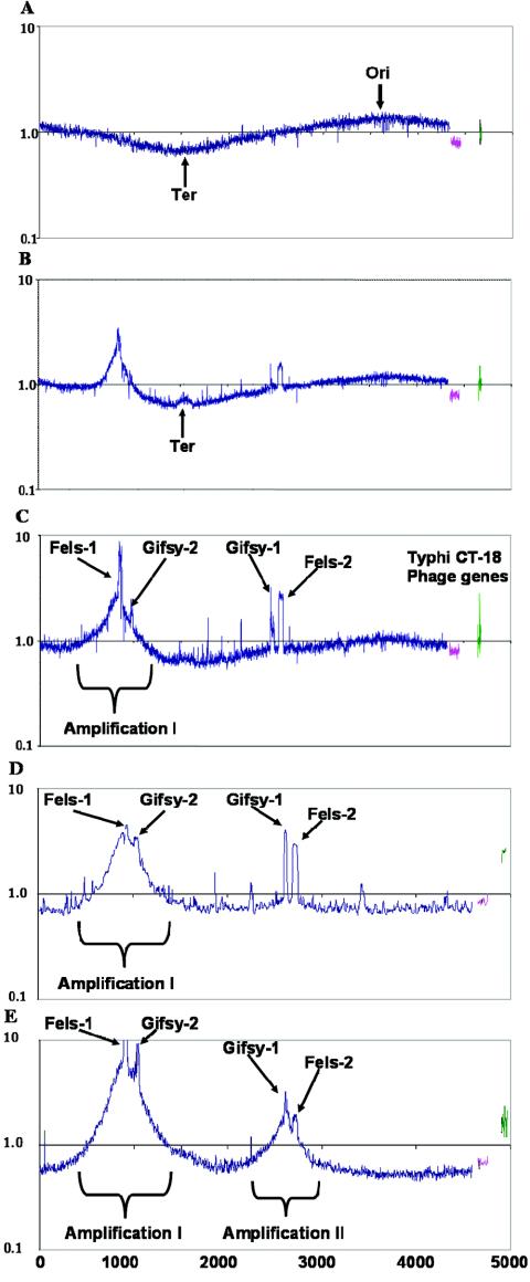 FIG. 1.