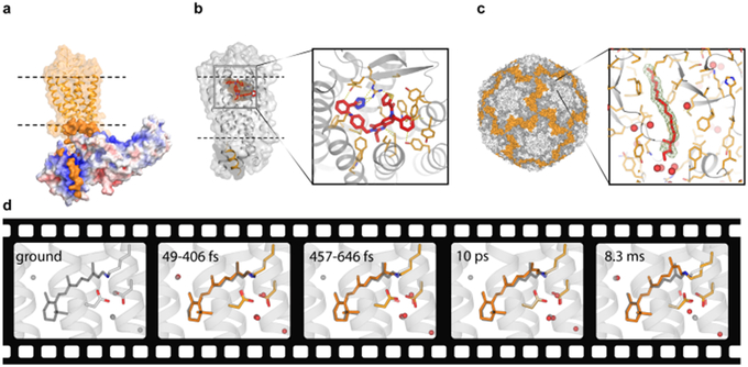 Figure 4.