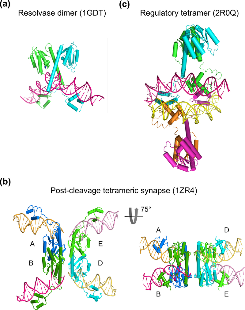 Fig. 6