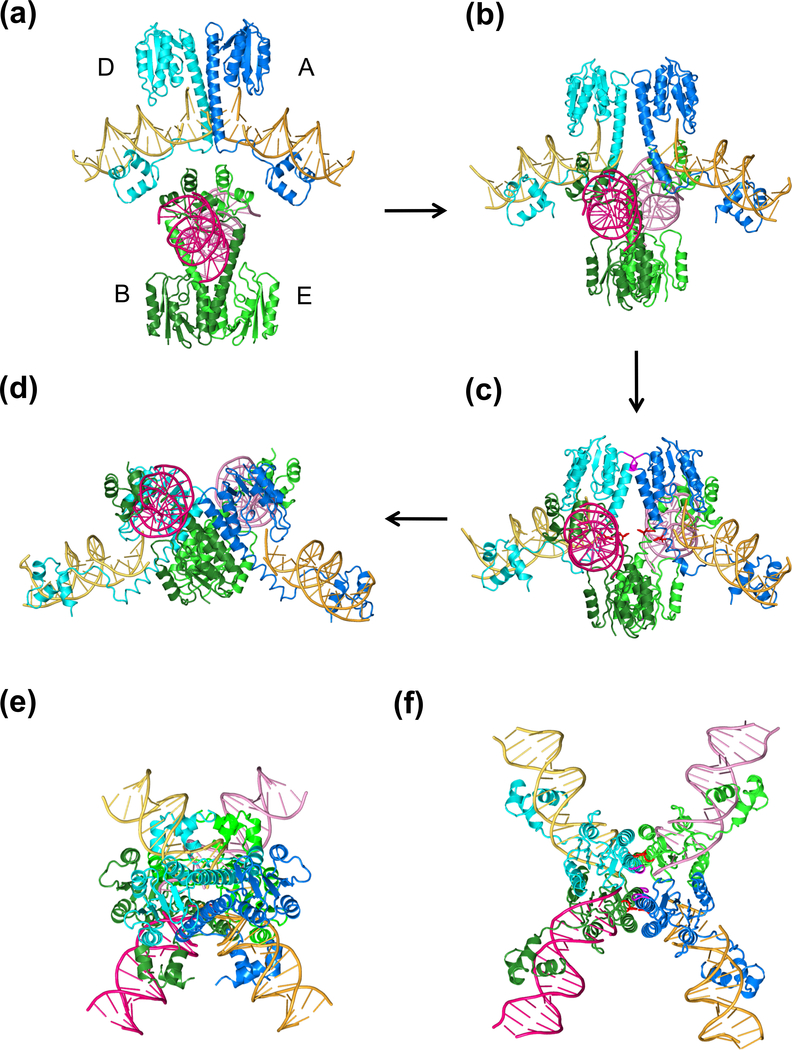 Fig. 8