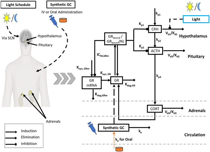 Fig. 1: