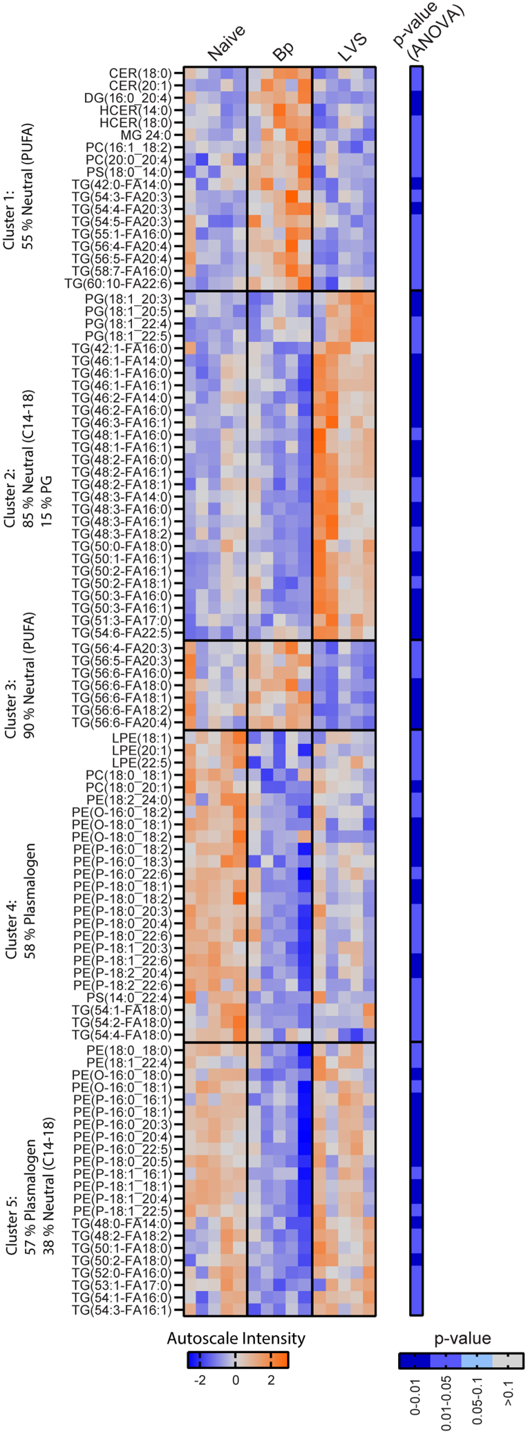 Figure 6