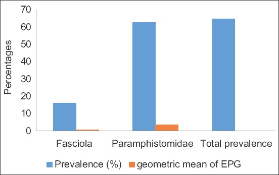 Figure-2