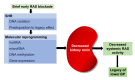 Graphical Abstract