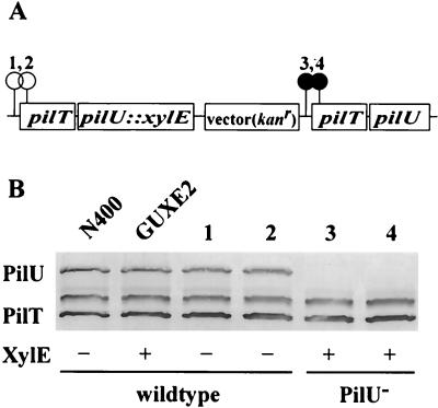 FIG. 7.