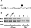 FIG. 7.