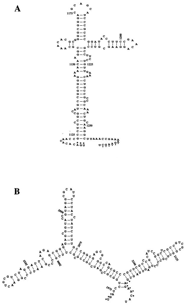 FIG. 10.