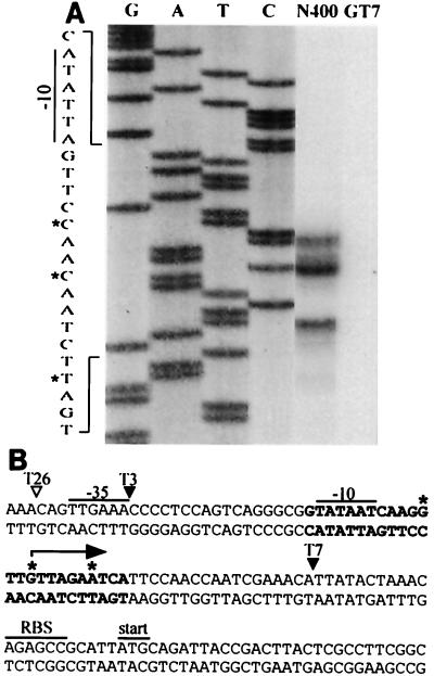 FIG. 9.