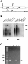 FIG. 8.