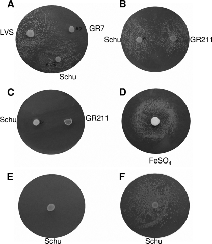 FIG. 6.