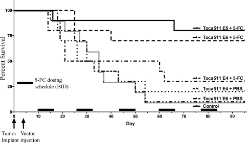 Fig. 2.