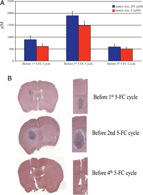 Fig. 6.