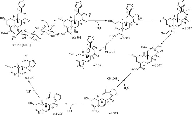 Figure 7