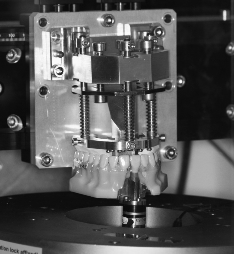 Figure 1. Detailed view of the test apparatus showing the tooth mounted on the 3-D force-moment sensor. A horseshoe, opposite-jaw piece with silicone underlining was used for simulating occlusal forces and securing the aligners on the maxillary model during the tests.