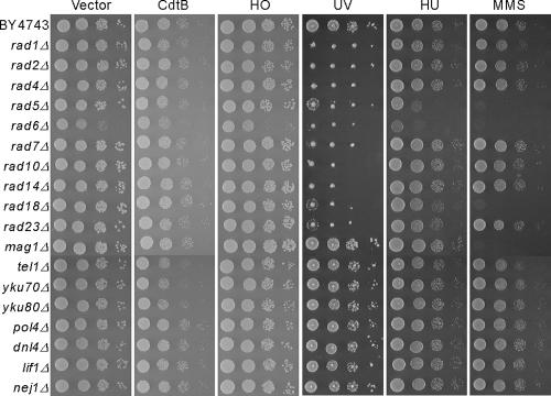 FIG. 4.