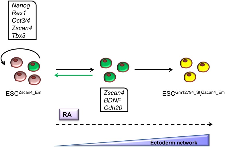 Fig 6