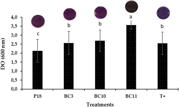 Figure 2