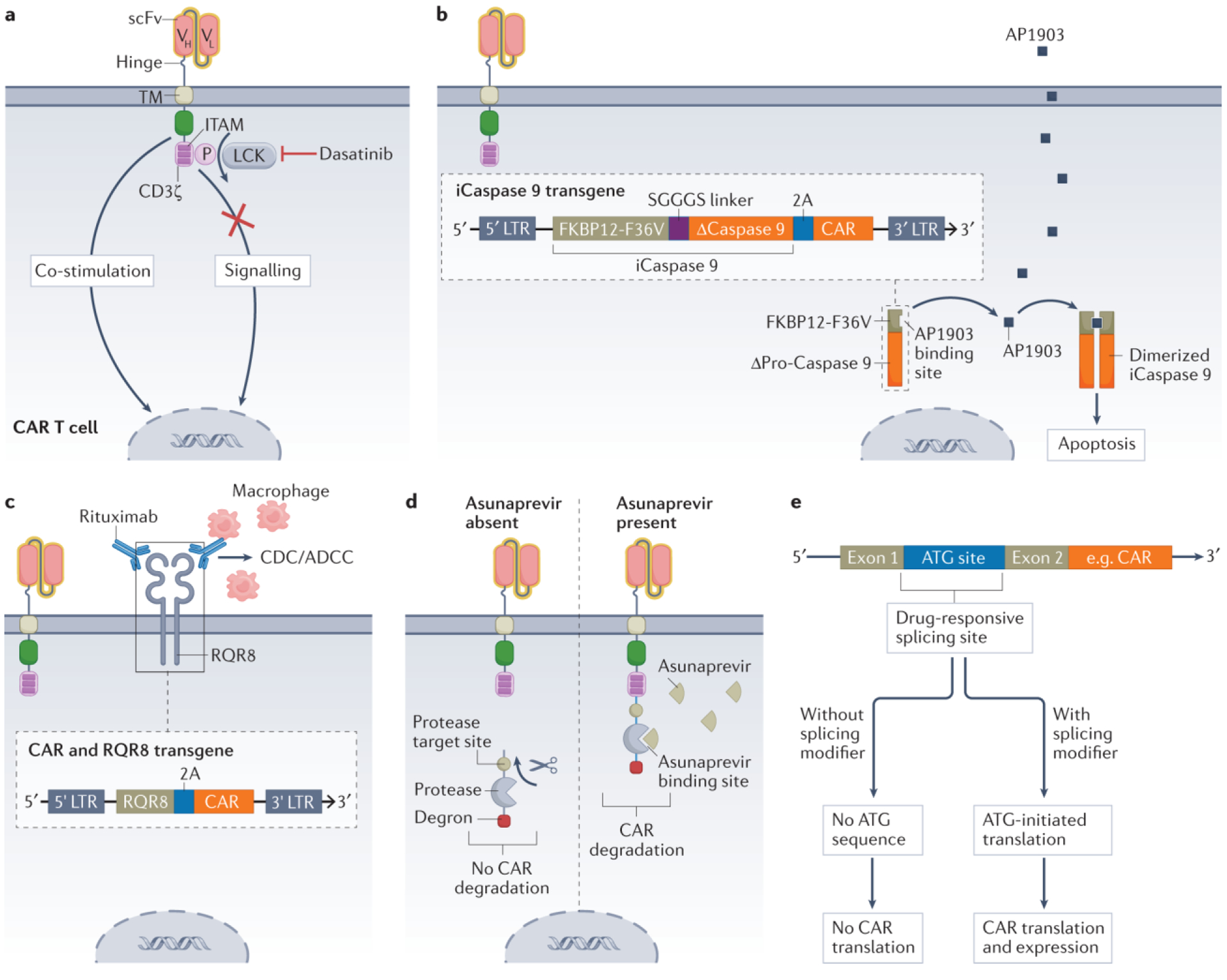 Figure 6.