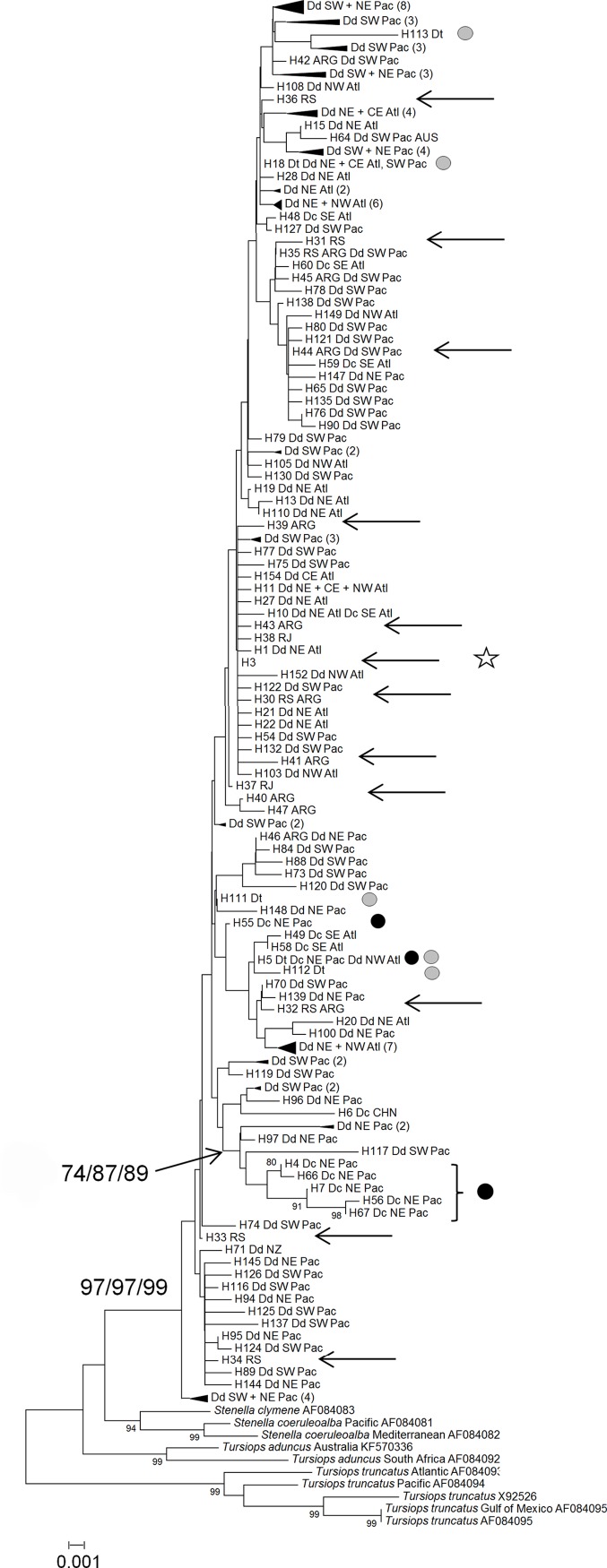 Fig 3