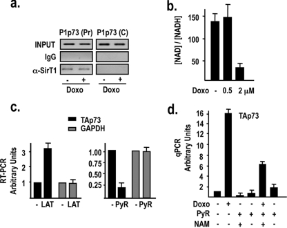 FIG. 6.