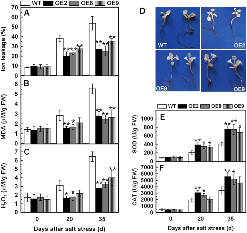 Fig 6