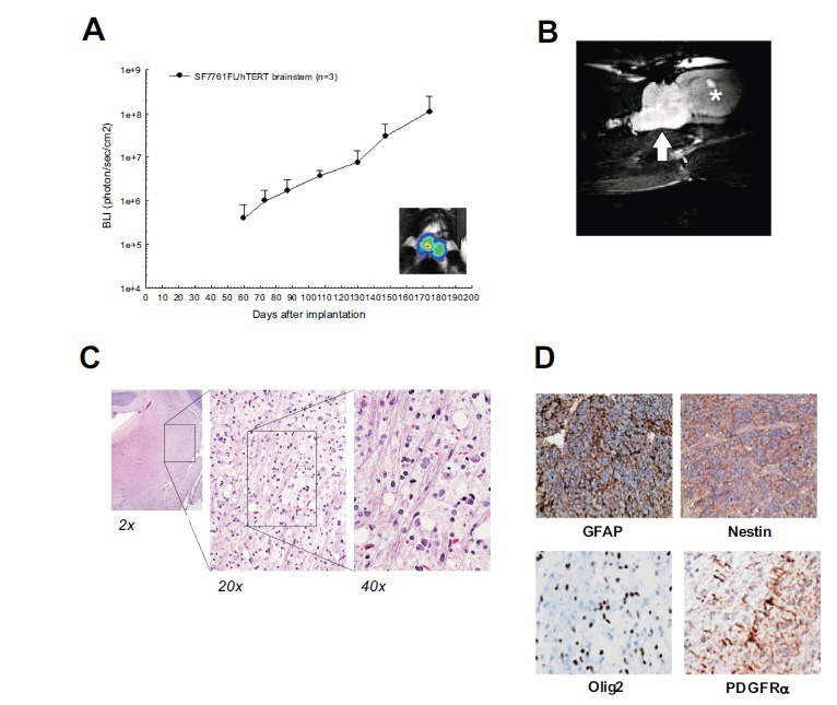 Fig. (1)