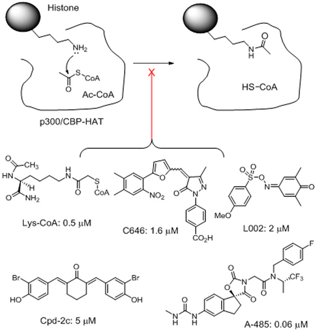 Figure 1.