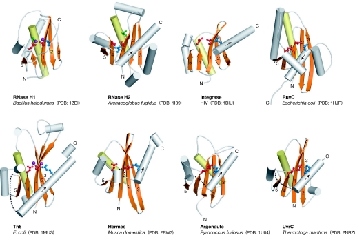 Figure 2